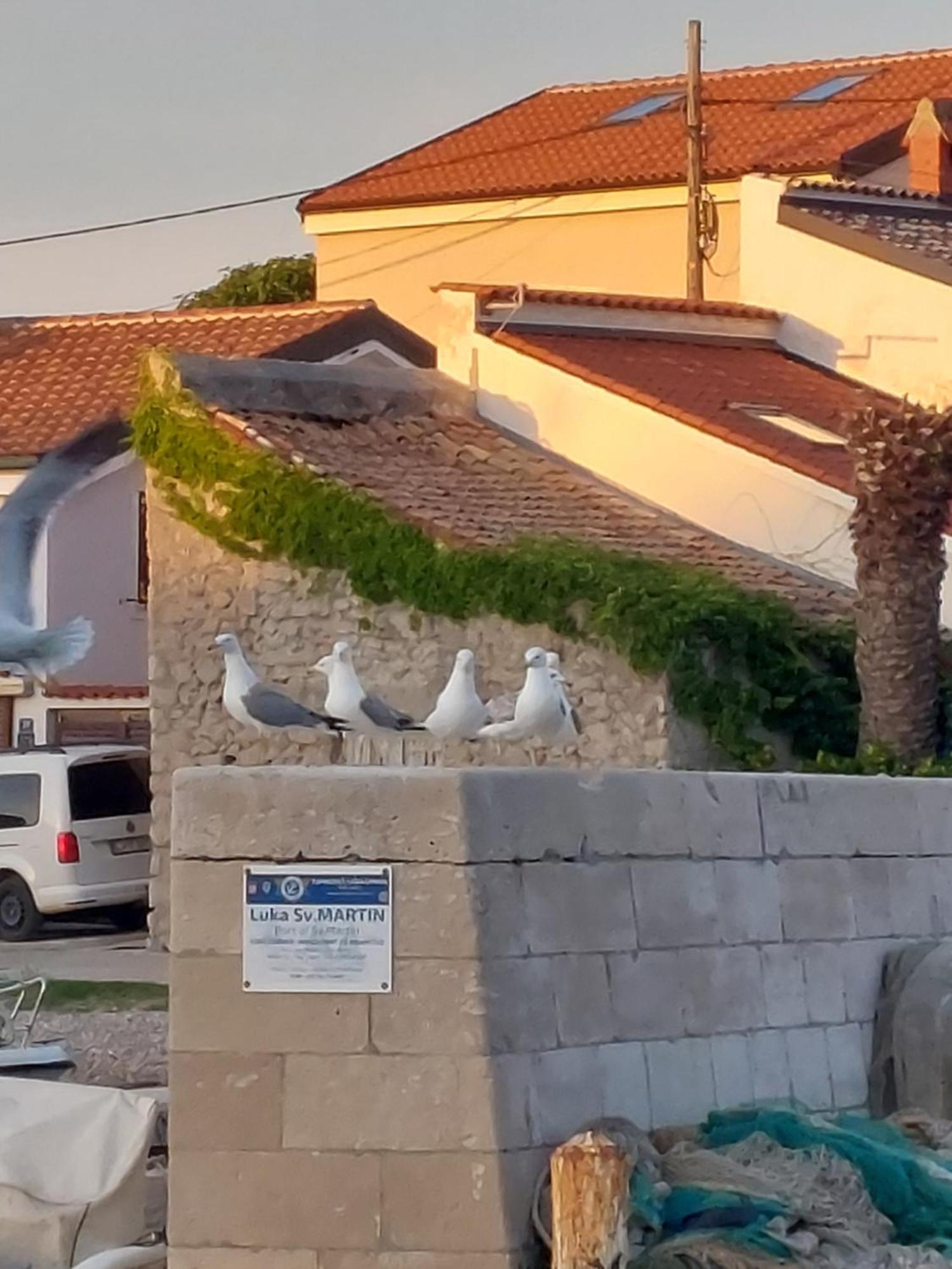 Apartments Suncica Mali Lošinj Eksteriør bilde