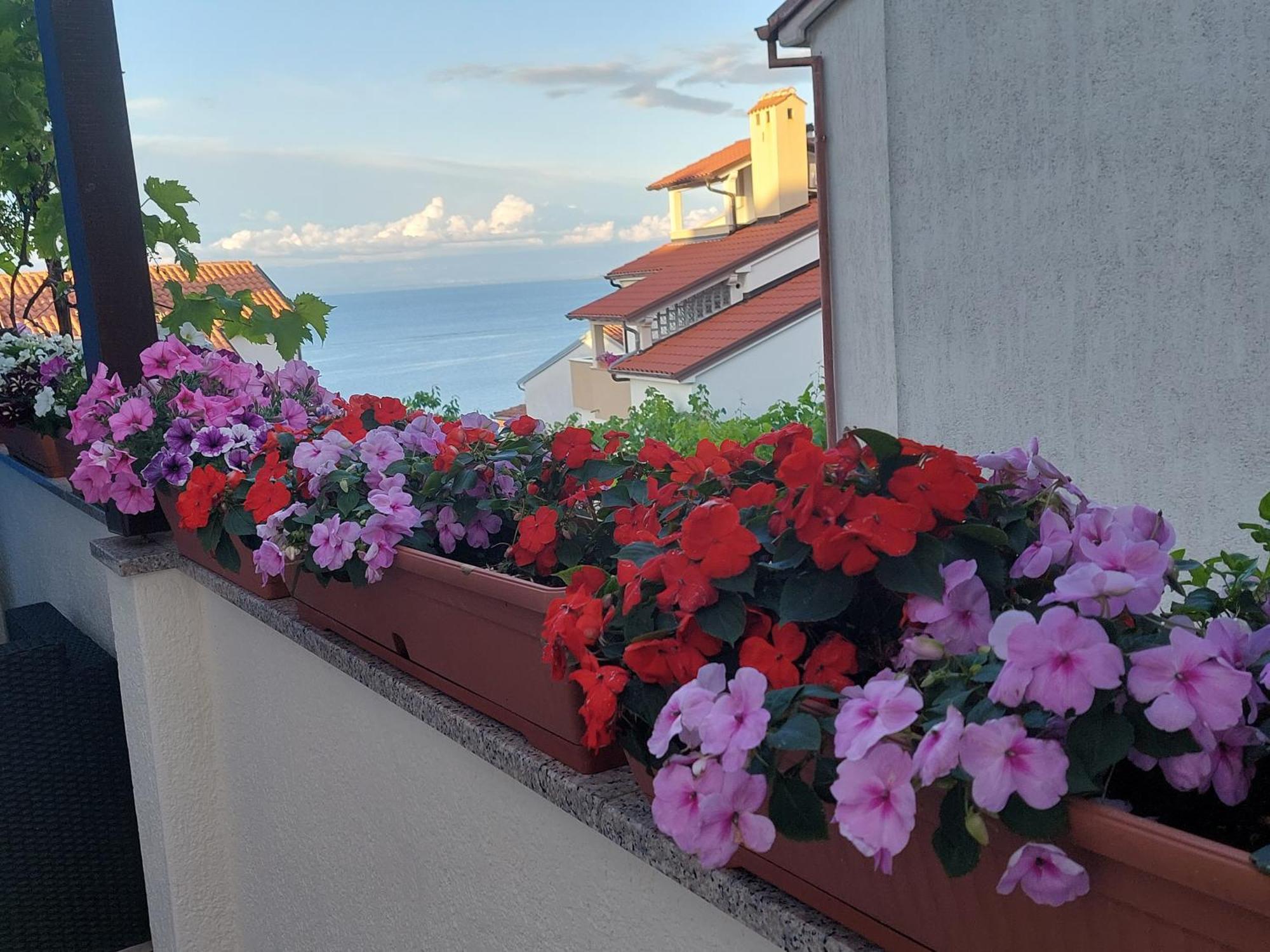 Apartments Suncica Mali Lošinj Eksteriør bilde