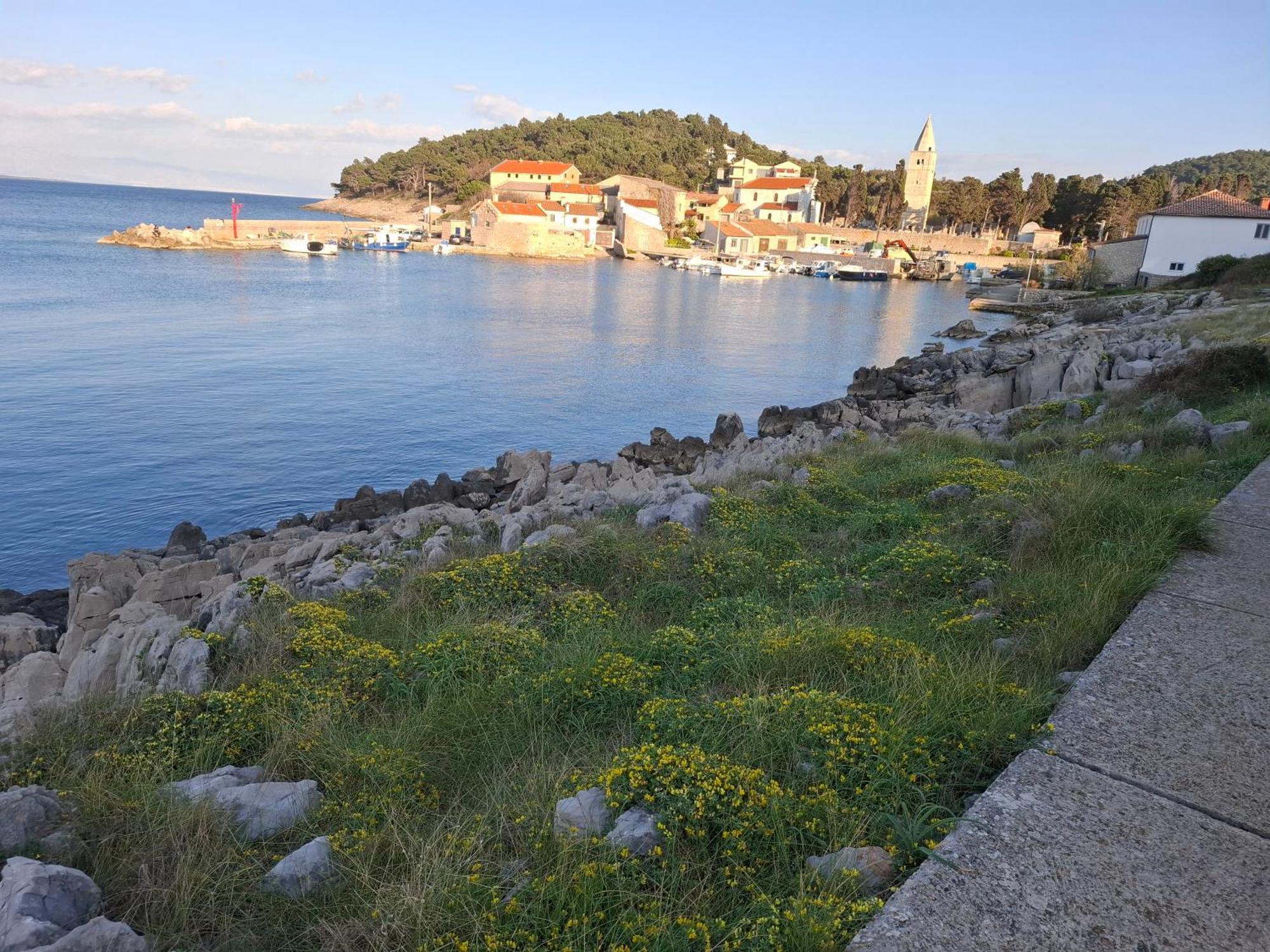 Apartments Suncica Mali Lošinj Eksteriør bilde